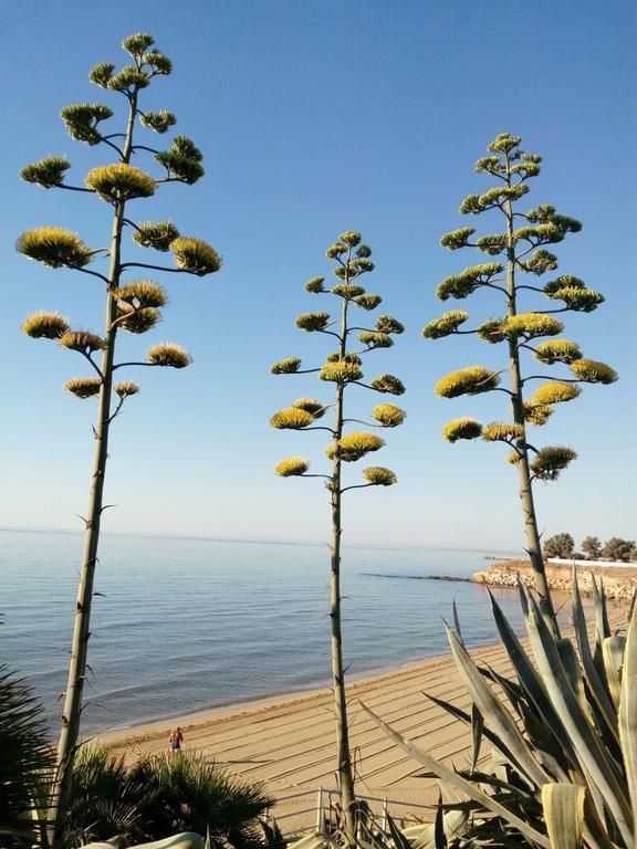 Villa Del Mar Avola Zewnętrze zdjęcie